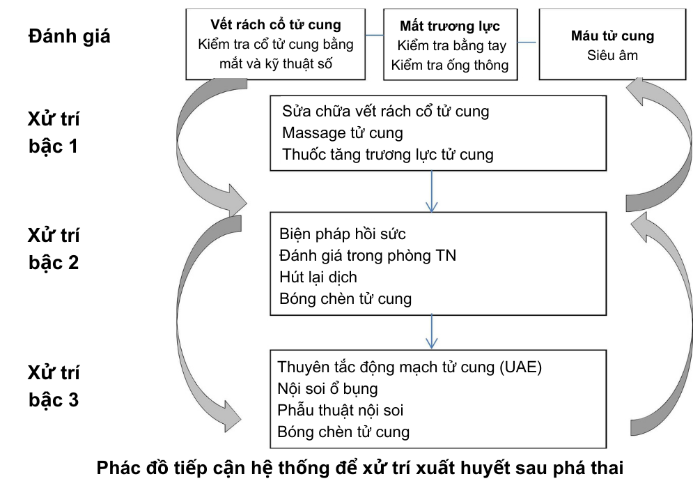 XỬ TRÍ BĂNG HUYẾT HẬU PHÁ THAI: CÁC KHUYẾN CÁO LÂM SÀNG